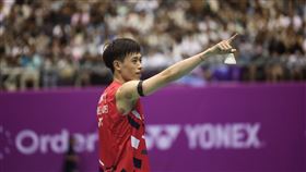 台北羽球賽男單  林俊易奪金（2）台灣羽球好手、「左手重砲」林俊易（圖）8日在2024台北羽球公開賽男單冠軍賽登場，以21比17、21比13擊敗自家人戚又仁，收下個人生涯台北公開賽首冠。中央社記者吳家昇攝  113年9月8日