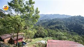 只差一年！農保近40年被退出　真農民崩潰