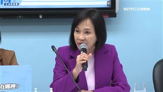 疑美又移美？柯志恩遭爆「兒是美國公民」