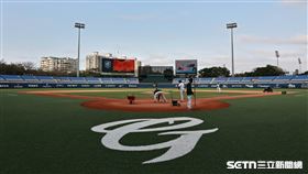 ▲新莊棒球場成為台灣第1座天然草皮和人工草皮混合球場。（圖／記者劉彥池攝影）