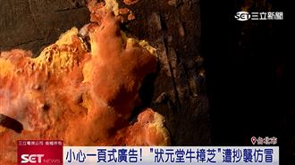 狀元堂牛樟芝遭抄襲仿冒　籲認明官方通路