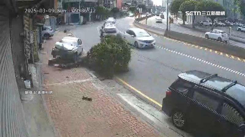 駕駛突自撞路樹　同路段「1週內2車禍」