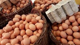 水煮蛋,蛋白,蛋殼,內行,雞蛋