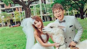  財富女神王宥忻（左）合體「翁總」拍婚紗，預告海外浪漫婚禮。（圖／業者提供）