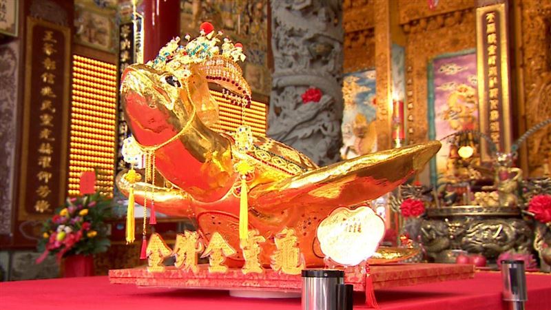 澎湖元宵乞龜百百種 你是幸運兒嗎？