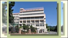 陽明教養院永福之家。（圖／取自官網）