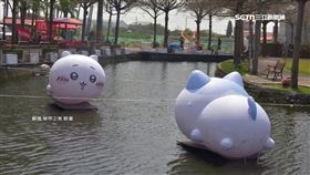 學甲蜀葵文化節出現