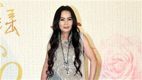 潘越雲出席「當那一首歌響起」瓊瑤創作60周年演唱會 記者會。（圖/記者邱榮吉攝影）