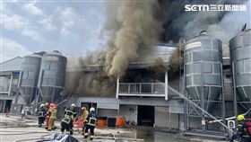 屏東,大武山牧場,雞舍,蛋商,雞蛋,上市