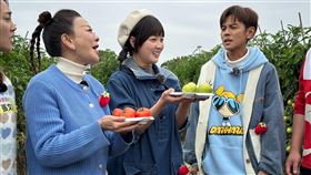 楊繡惠（左起）、籃籃跟阿翔一起出外景介紹番茄。（圖／民視提供）
