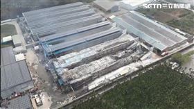 屏東,大武山牧場,雞舍,蛋商,雞蛋,上市