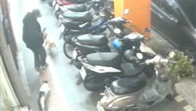 新北市三重區一名飼主，牽著柴犬遭貓咪攻擊抓咬傷。（圖／翻攝畫面）