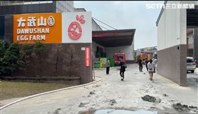 屏東,大武山牧場,雞舍,蛋商,雞蛋,上市