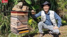28歲鐵皮屋起家，48歲遇財務危機、健康亮紅燈…華凌光電董座大雪山種菇、養蜂，找回身心平衡（圖／今周刊）