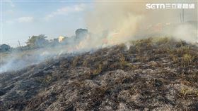 台南,雜草,火警,歸仁