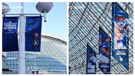 ▲迎接大聯盟海外開幕戰，東京巨蛋添加道奇、小熊裝飾。（圖／翻攝自東京巨蛋推特）