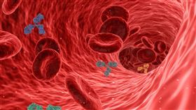 血管，膽固醇，示意圖。(圖／Pixabay)