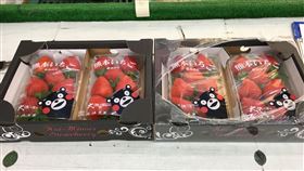 衛生局抽驗蔬果，1月有15件不合格。（圖／衛生局提供）