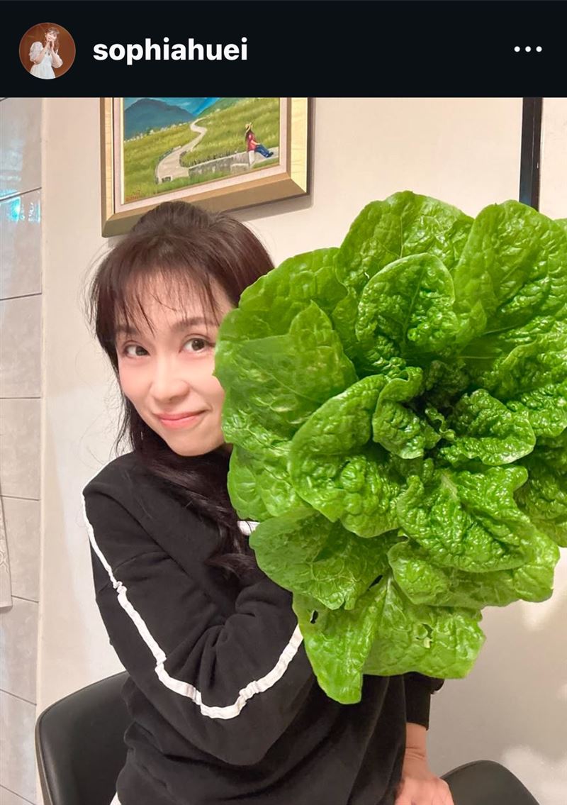周子寒種出巨無霸青菜。（圖／翻攝自IG）