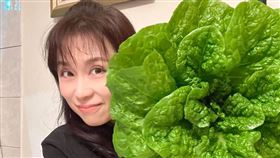 周子寒種出巨無霸青菜。（圖／翻攝自IG）