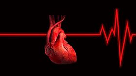 心臟移植　人工心臟　心跳　示意圖／pixabay