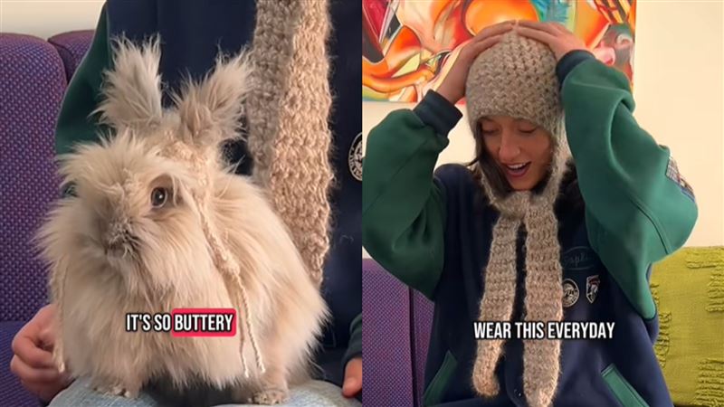 她花1年蒐集兔毛織出毛帽　催淚原因曝光