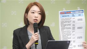 民進黨「中共統戰大舉來襲，藍白「飼鳥鼠，咬布袋」？」記者會，發言人韓瑩（圖／民進黨提供）