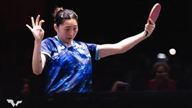 ▲台灣桌球好手簡彤娟。（圖／翻攝自WTT官網）