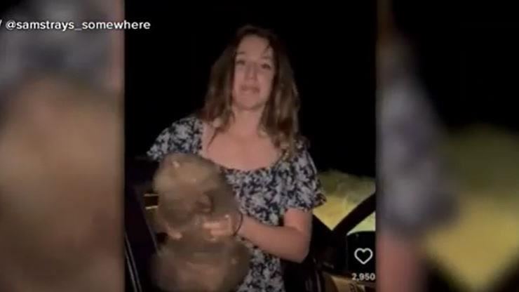 美網紅遊澳搶走袋熊　總理怒：有種抱鱷魚