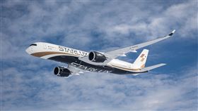 星宇航空開航安大略。（圖／星宇航空提供）