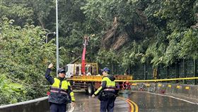 路樹因雷雨狂襲而不慎傾倒，警方迅速趕抵協處。（圖／警方提供）