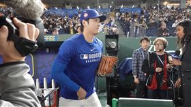 備戰MLB東京系列賽 大谷翔平、山本由伸受注目美國職棒大聯盟洛杉磯道奇與芝加哥小熊18日將於東京巨蛋舉行海外開幕戰，15日晚間道奇與讀賣巨人進行熱身賽。賽前練球時間，道奇日籍選手大谷翔平一出場，觀眾發出歡呼聲。中央社記者楊明珠東京攝 114年3月15日