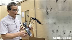 中興大學農業暨自然資源學院副院長、昆蟲系黃紹毅教授、蚊子。（圖／記者張雅筑攝影）