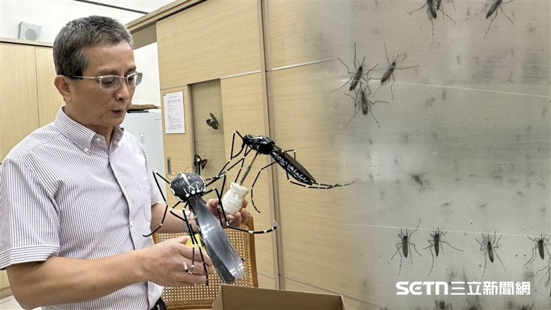 獨／昆蟲系教授證實　3原因蚊子變難打了