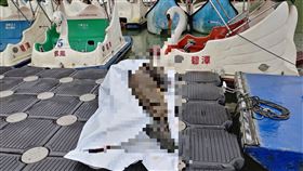 碧潭風景區驚見男屍在水面上漂浮。（圖／翻攝畫面）