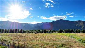 聖地拉薩  爆肝護士的玩樂記事