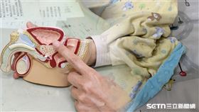 ▲兒童泌尿科王大民醫師。（圖／仁愛長庚合作聯盟醫院（大里仁愛醫院）提供） 