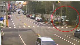 苗栗，6樓高南洋杉，強風吹倒，行人險被砸中，(圖／翻攝畫面)