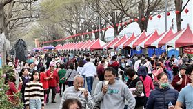 社頭杜鵑花盛開　花期延續至4月中旬（業配勿用）