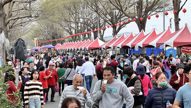 社頭杜鵑花盛開　花期延續至4月中旬