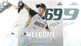 ▲台鋼雄鷹第7位洋將，擁有7年日職經驗的日籍投手櫻井周斗。（圖／台鋼雄鷹提供）