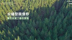 ▲桃園市政府發行我國首檔可持續發展政府債券。（圖／翻攝自櫃買中心官網）