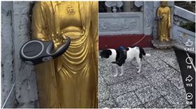 佛祖,眾生,手勢,飼主,信徒,寵物,牽繩,手印,神明▲圖片描述。（圖／翻攝自「宗教爆報」臉書社團）