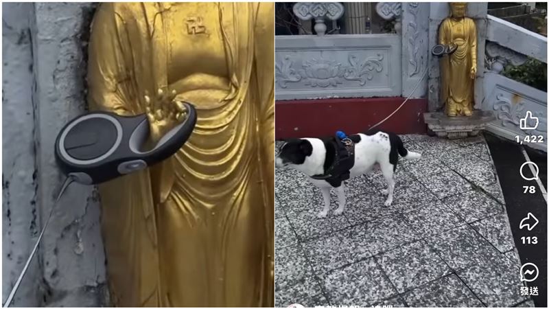 託付「祂」幫顧狗！佛祖一手勢10萬人笑翻