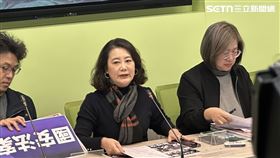 ▲民進黨團上午召開「國安法案」記者會吳思瑤回應國民黨公投。（圖／記者詹宜庭攝影）