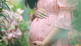 懷孕。(圖/翻攝自Pixabay)