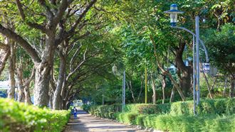 「琢玥」坐落A9黃金中軸！