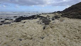 衝浪客拍下南澳洲2座海灘的死魚及黃色泡沫，當地政府已展開調查。（圖／翻攝Victor Harbor Community Group臉書社團）