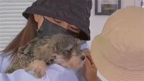 女飼主抱著複製的「Rara」，表情相當喜悅。（圖／翻攝自微博）