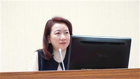 民進黨立委羅美玲（圖／羅美玲辦公室提供）